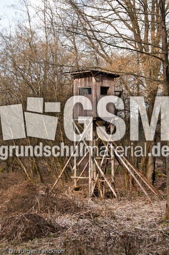 Hochstände (120 von 154).jpg